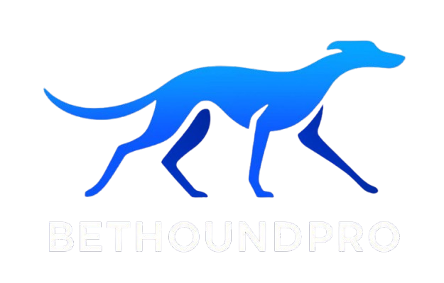 Bethound Pro